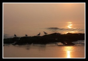 shoreline