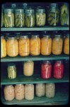 Canning- Freezing- Drying Food Preservation Class