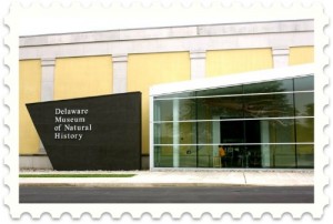 cheap things to do with kids delaware