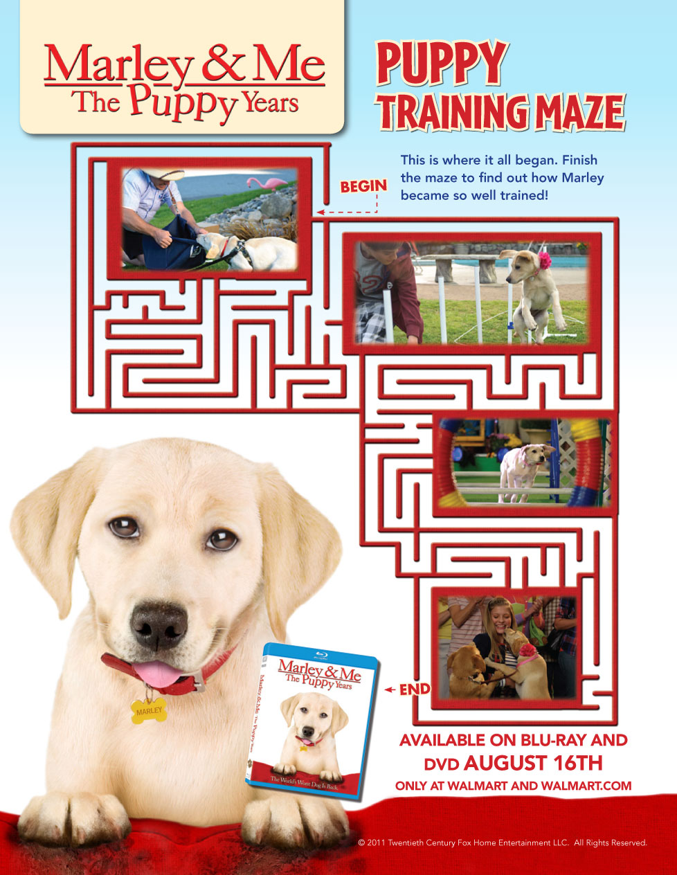 marley and me maze