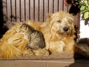 friends